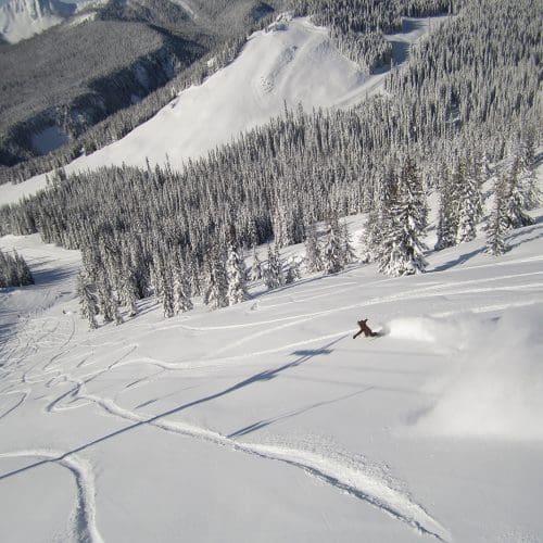 view of snowboarder enjoying deep powder