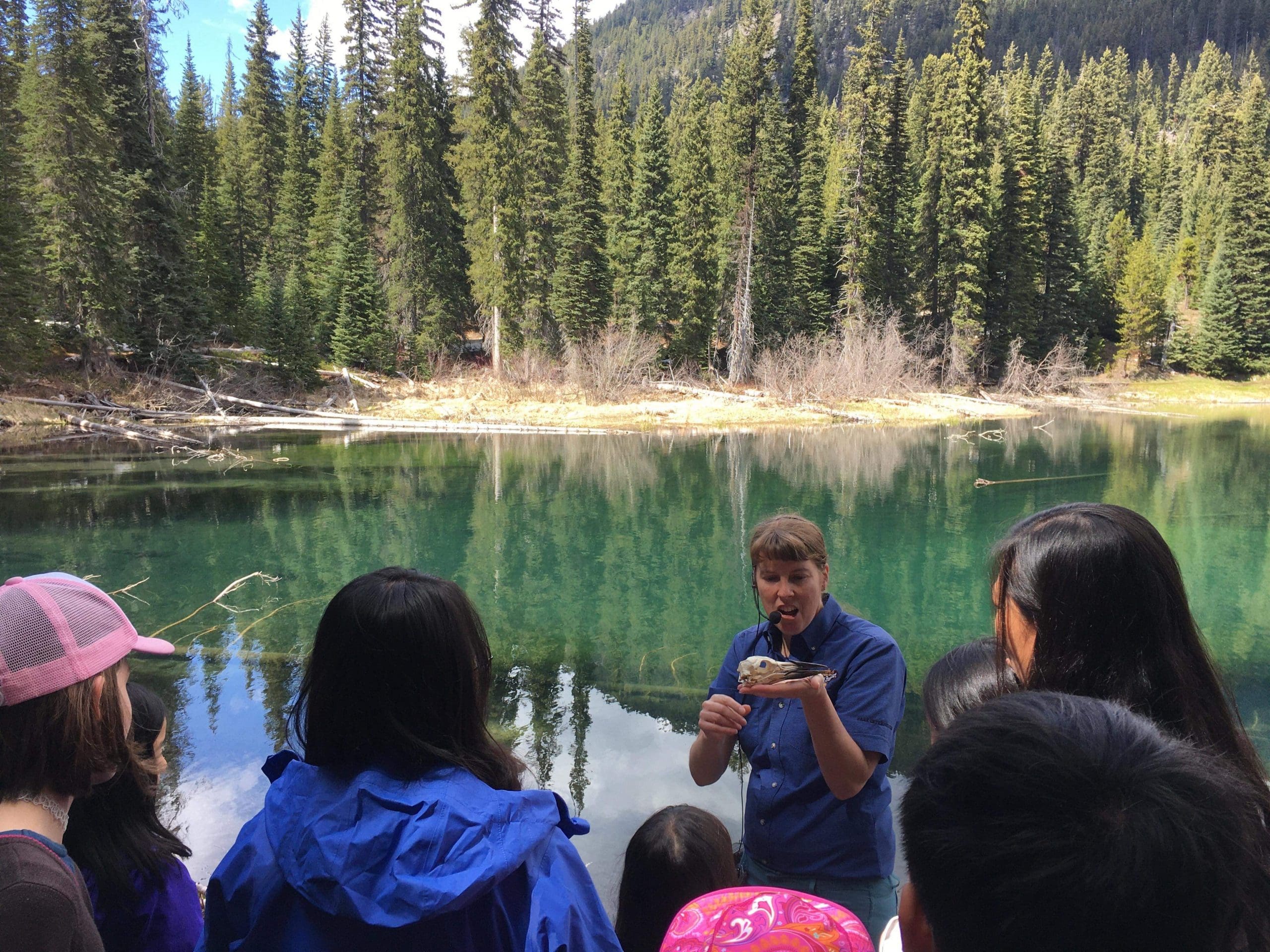 Group of people participating in manning park naturalist program