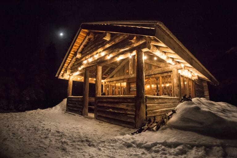 Moonlight Guided Snowshoe Tour