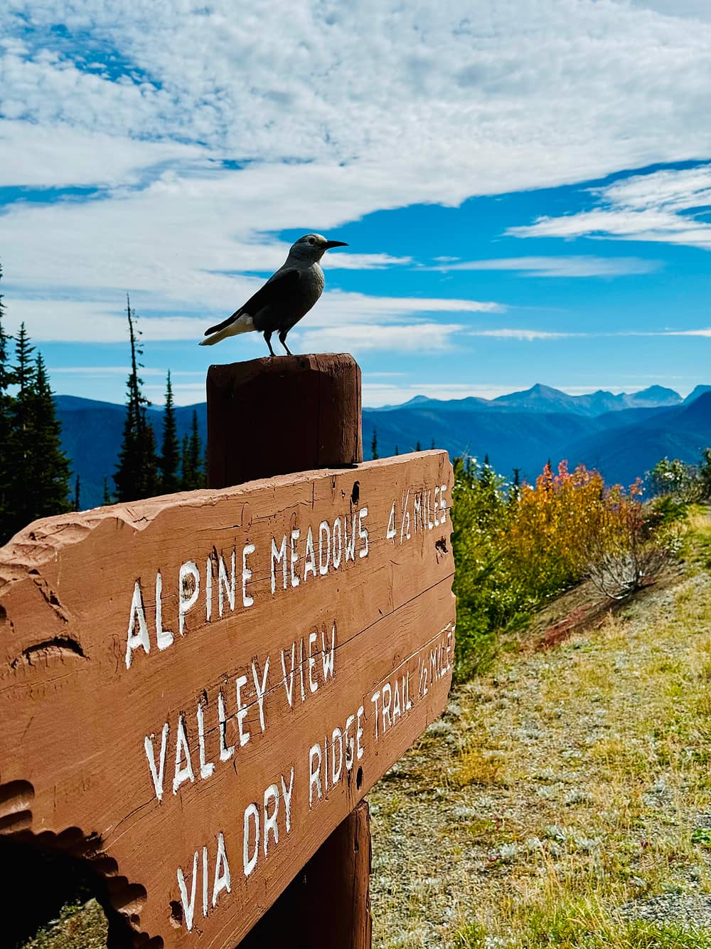 728052186-img_1042-1