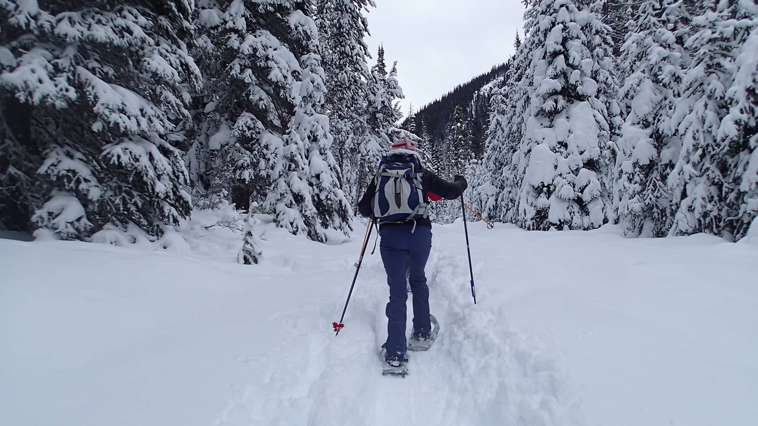 Person snowshoeing through fresh snow in Manning Park BC.