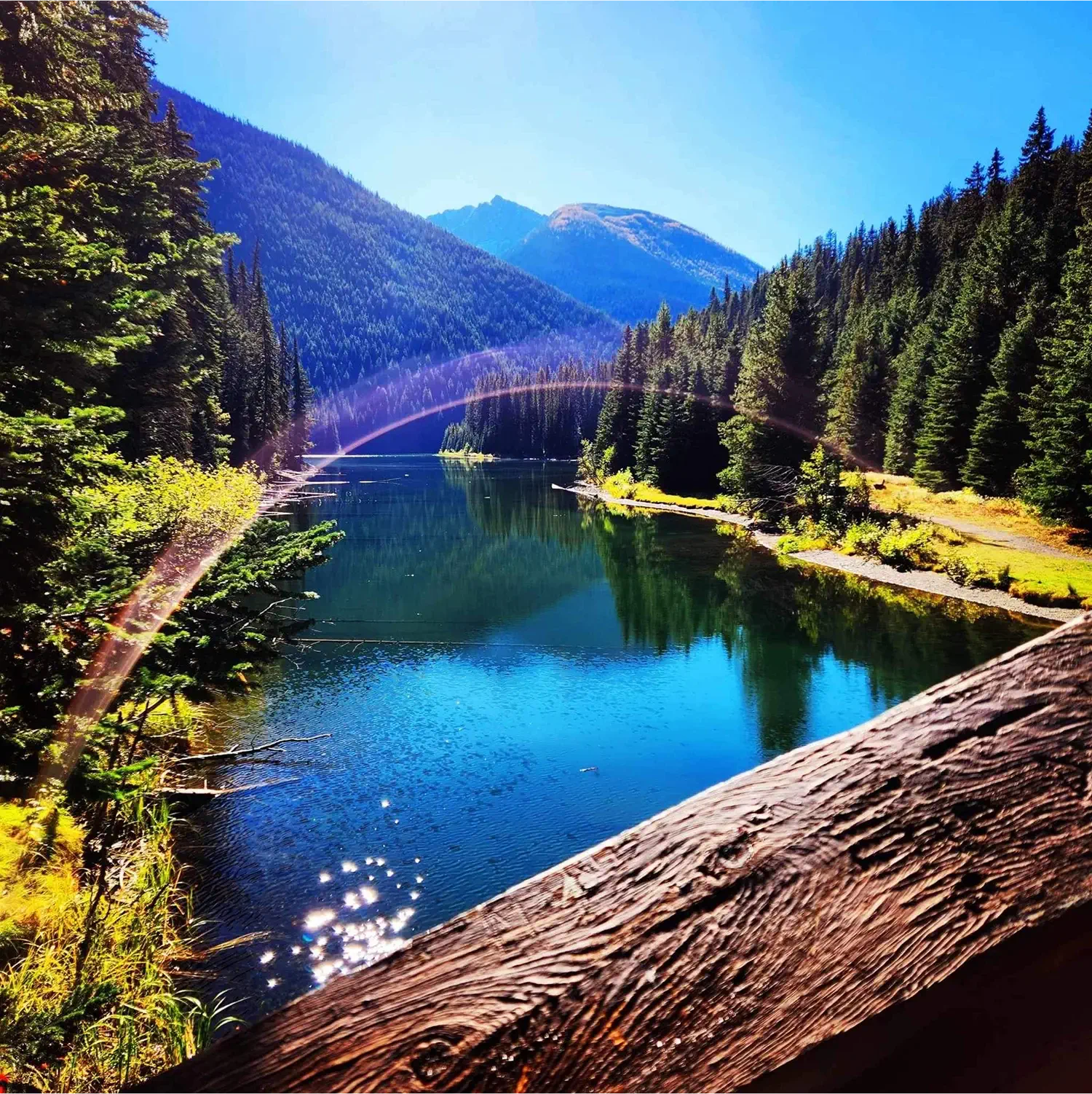 apkgy2fxccabdp0nr9mr