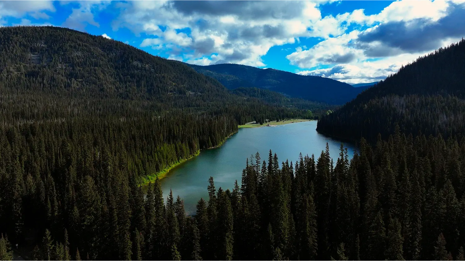 ozfgntykbfljhumtcc8m