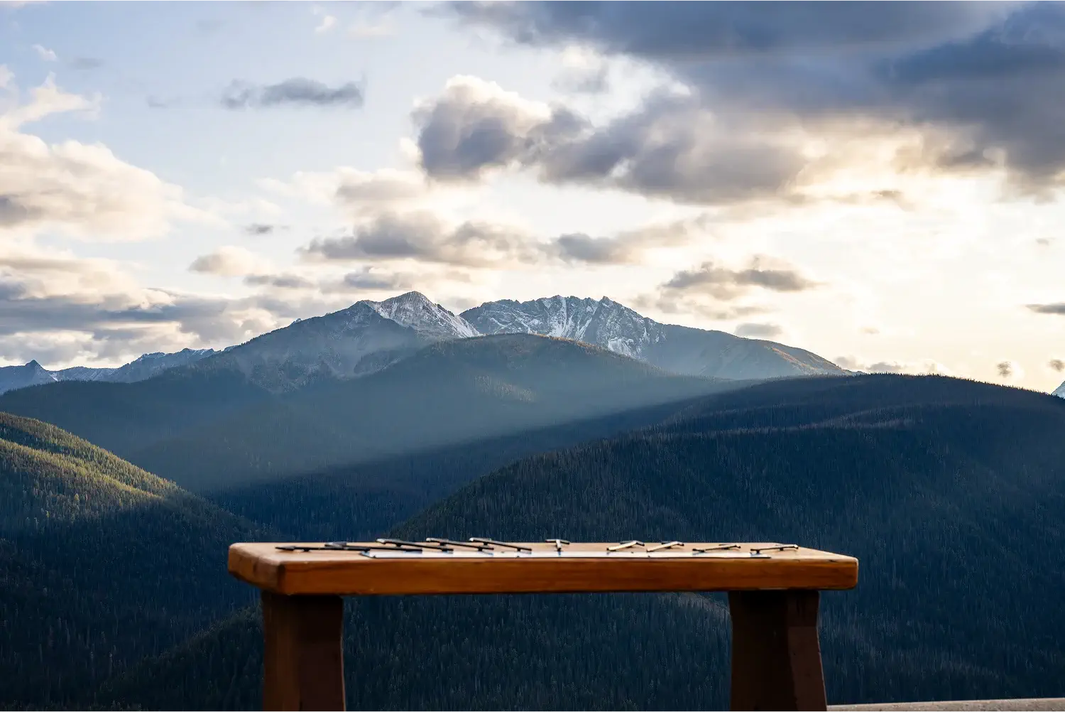 zhailyelv73v3mqim9tv