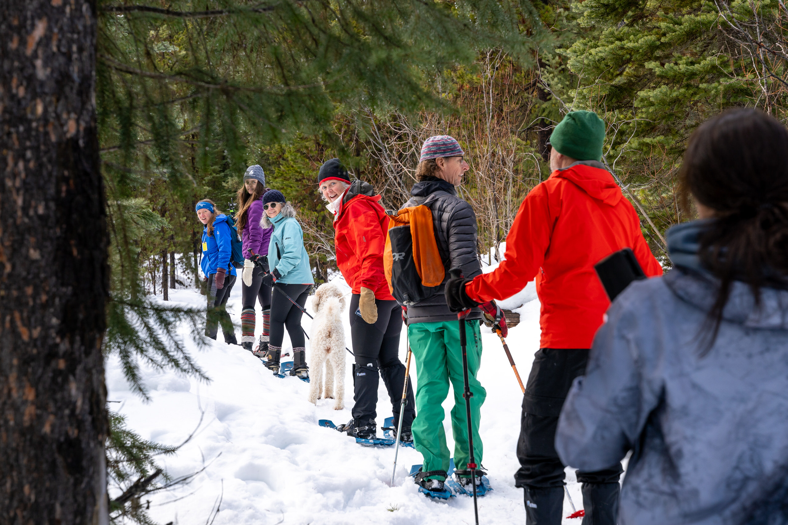 af46a5d6811f7bced6c90685e1d7867e247c602d