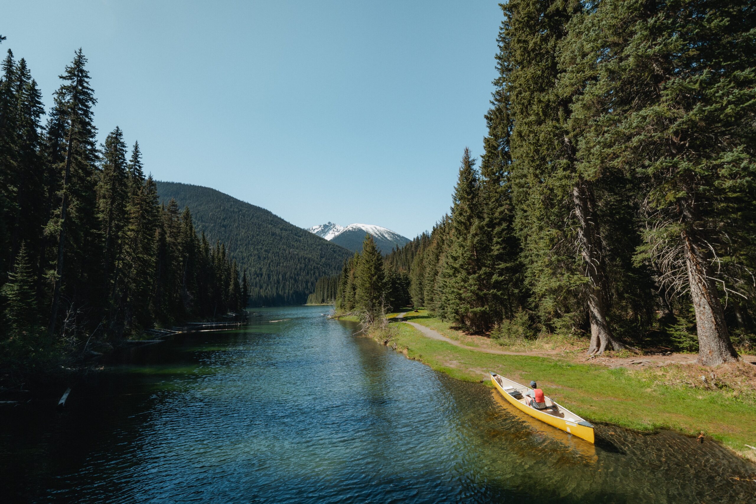 Canoe, Stretch of LL, May 2025
